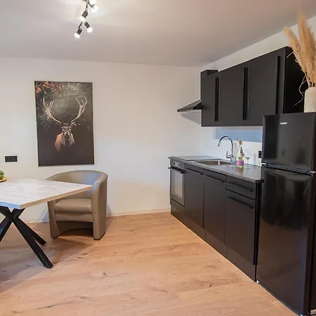 Mainapartment *